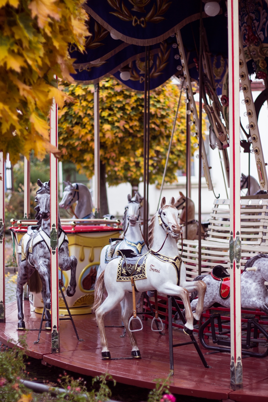 Kirmes Pferdekarussell Kirmes Pferd Karussell -6623