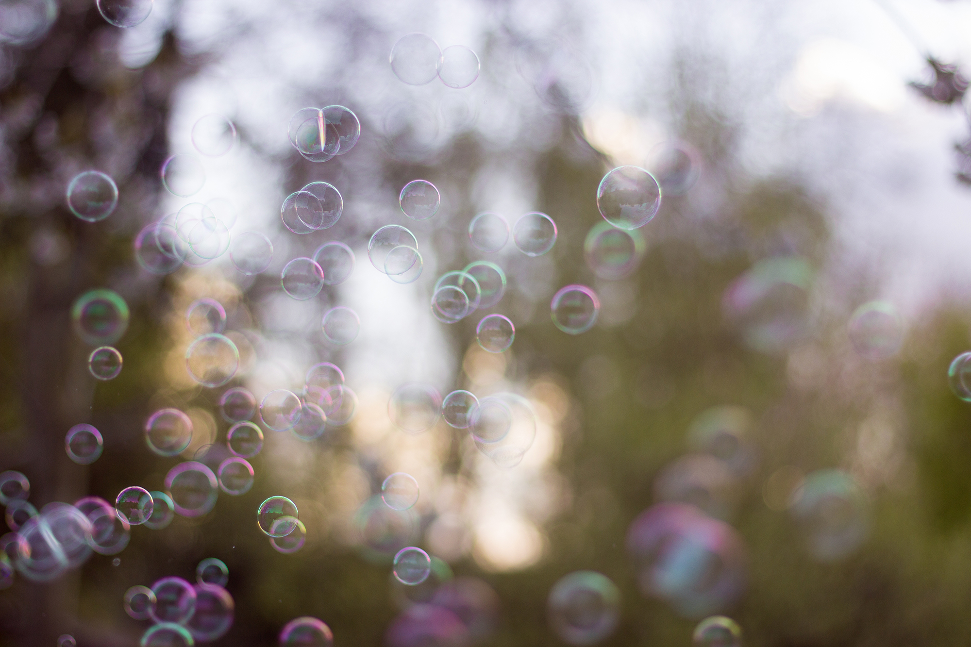 Seifenblasen Sturm Sonnenuntergang