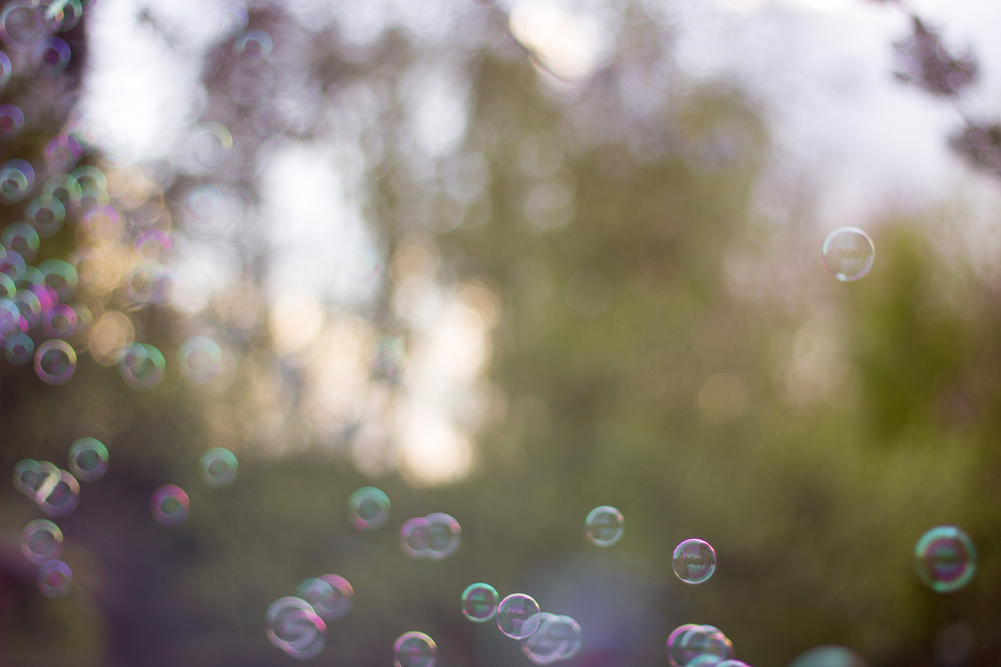 Seifenblasen Sturm Sonnenuntergang