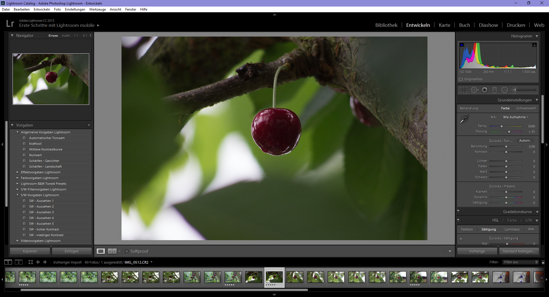 Ausgangssituation Lightroom
