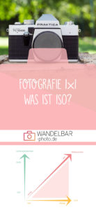 Fotografie 1x1: Was ist ISO Cheatpaper