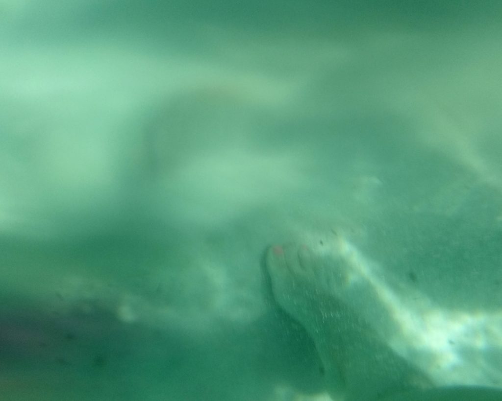 Wasserfeste Hülle Smartphone MPOW im Meer