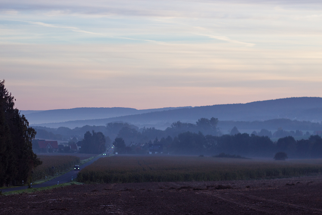 Landschaft Morgentau