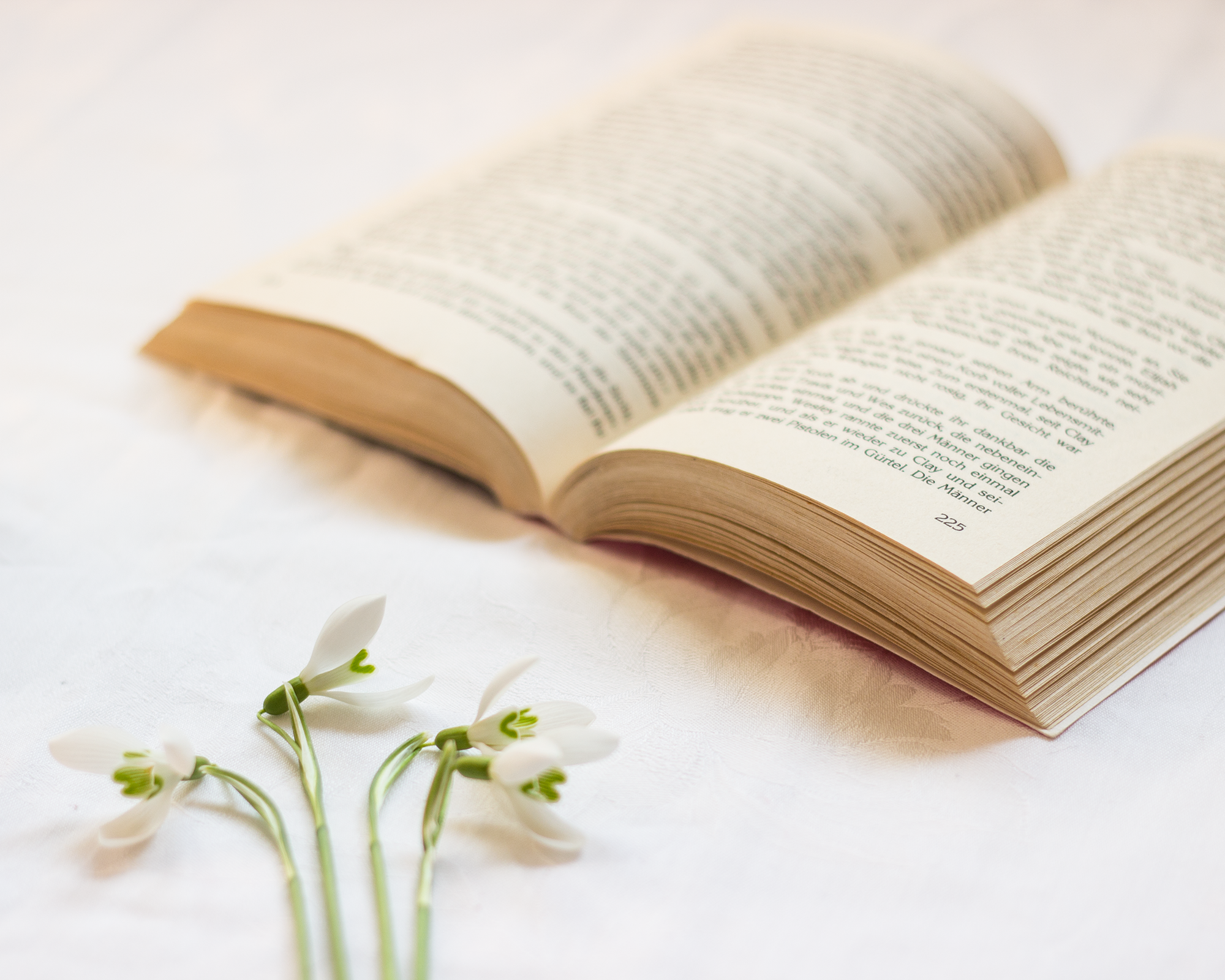 Foto-Hintergründe Alltag Tischdecke