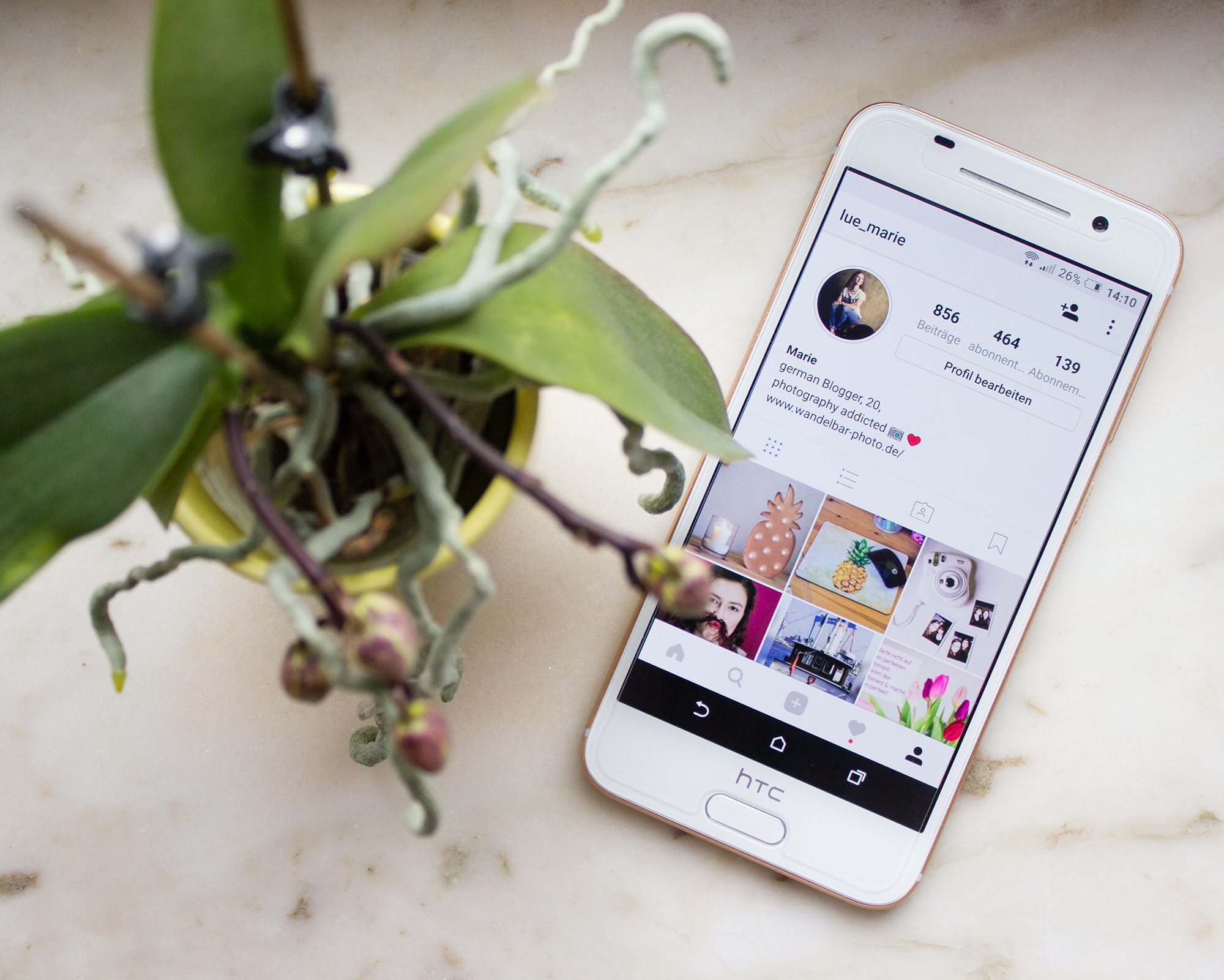 Foto-Hintergründe Alltag Fensterbank