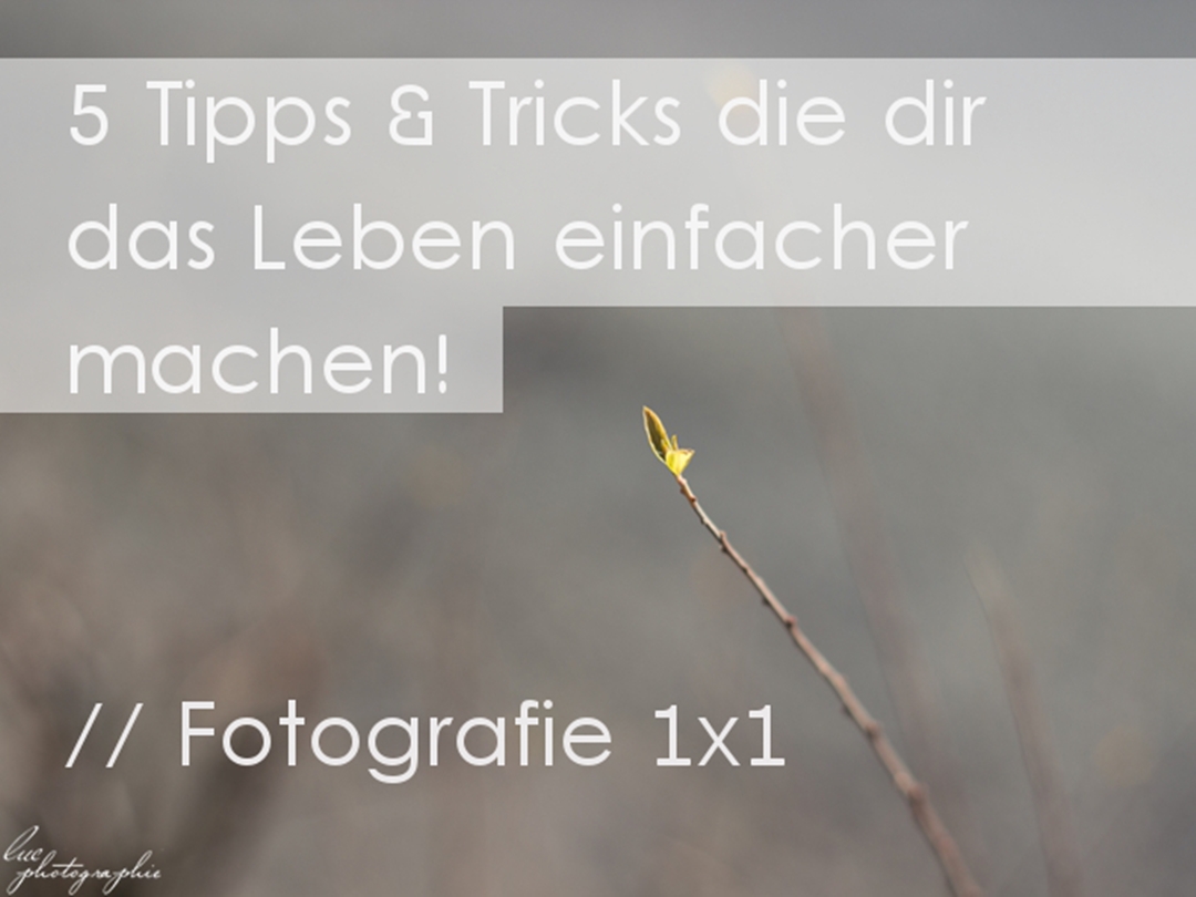Tipps & Tricks - Fotografie 1x1