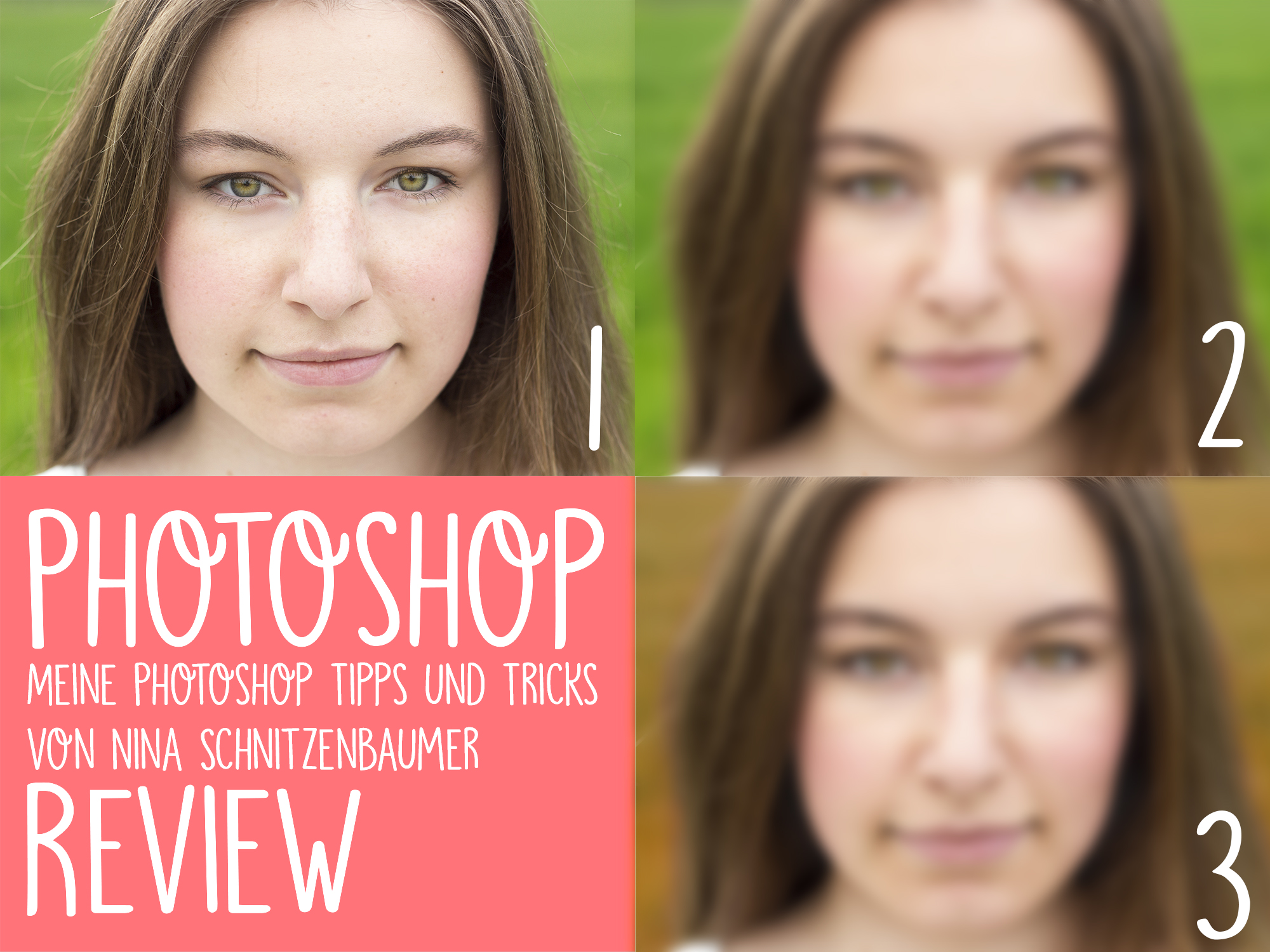 Cover Review Lernvideo