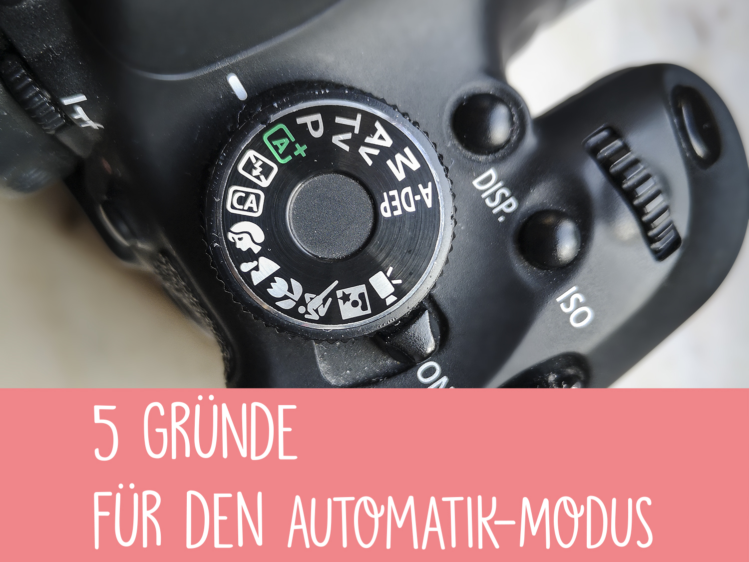 5 Grunde Fur Den Automatik Modus In Der Fotografie