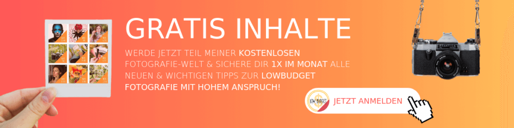 Newsletter Gratis Inhalte