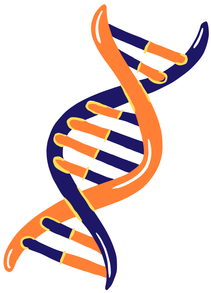 DNA_FotoGen